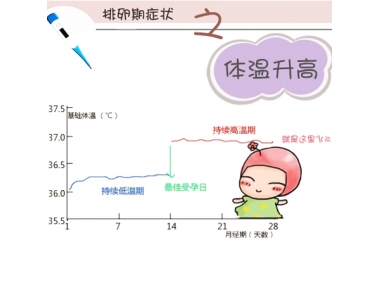 女性基礎體溫知識知多少